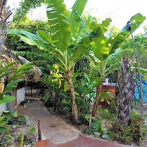 https://la-casa-de-los-ninos-del-arbol.quintano-roohotels.com