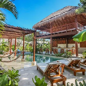 https://zenses-wellness-and-yoga-resort-adults-only.allrivieramayahotels.com